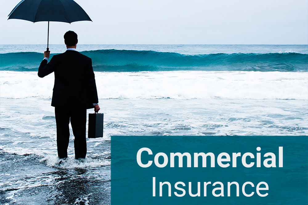 champion family insurance commercial insurance